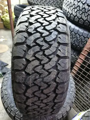 255/55r19 Sumaxx