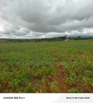 Available 21acre Land for Sale in Kajiado County at Loitoktok