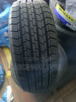 215/55r17 Sumaxx