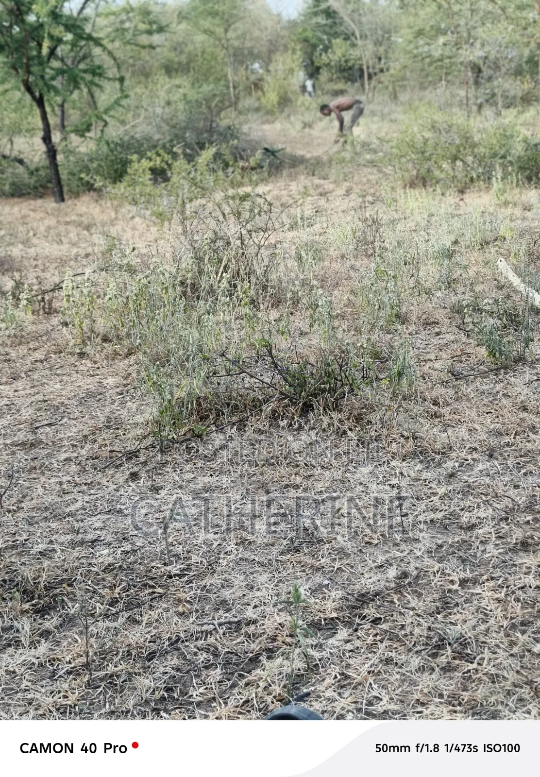 Plot for Sale in Matuu.