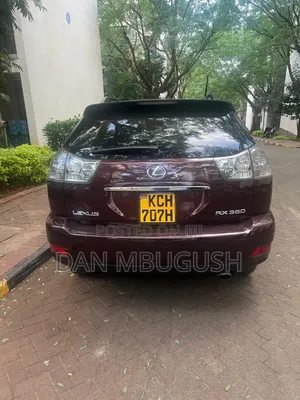 Lexus RX 2009 Maroon