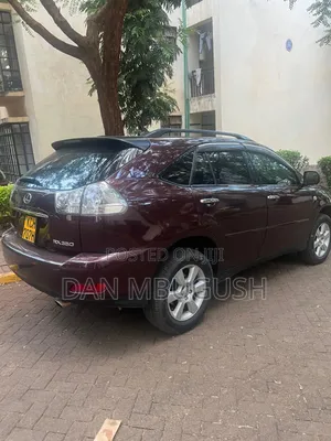 Lexus RX 2009 Maroon