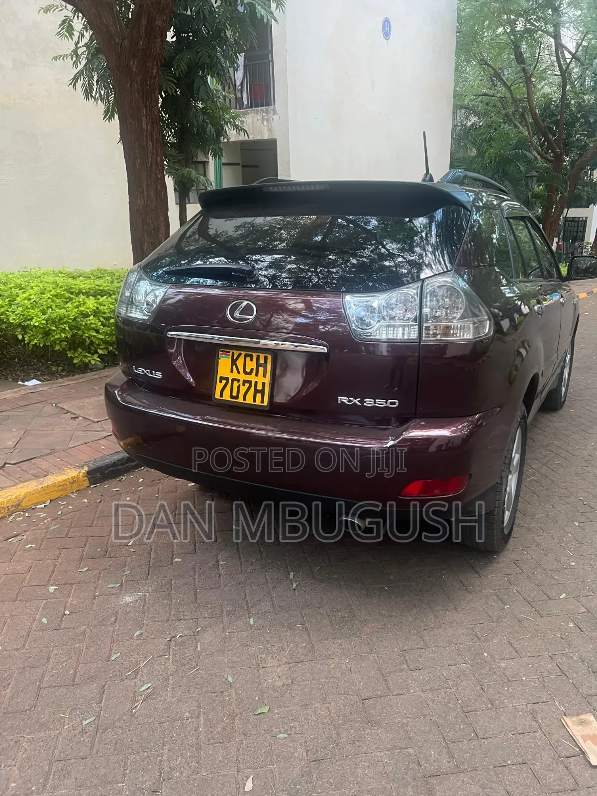 Lexus RX 2009 Maroon