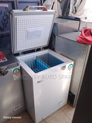 Cf/230 Deep Freezer