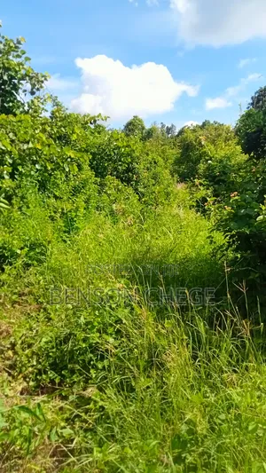 1.5 Acre for Sale in Maragua Ridge