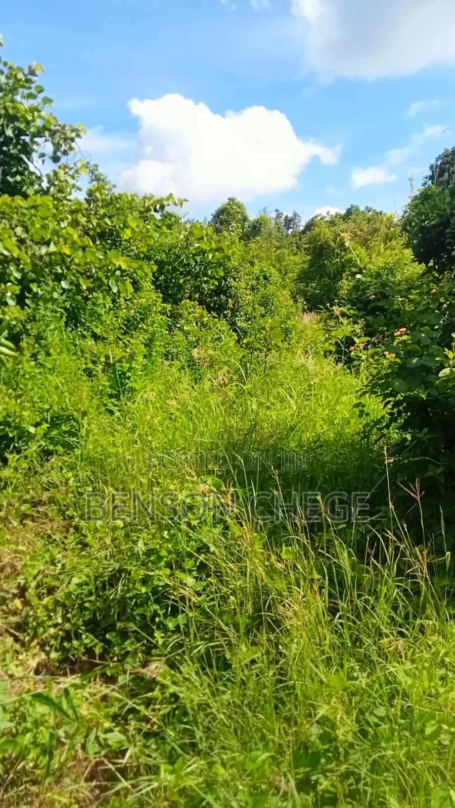 1.5 Acre for Sale in Maragua Ridge