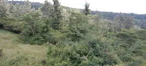 Prime Highway Land -Kenol Kabiti