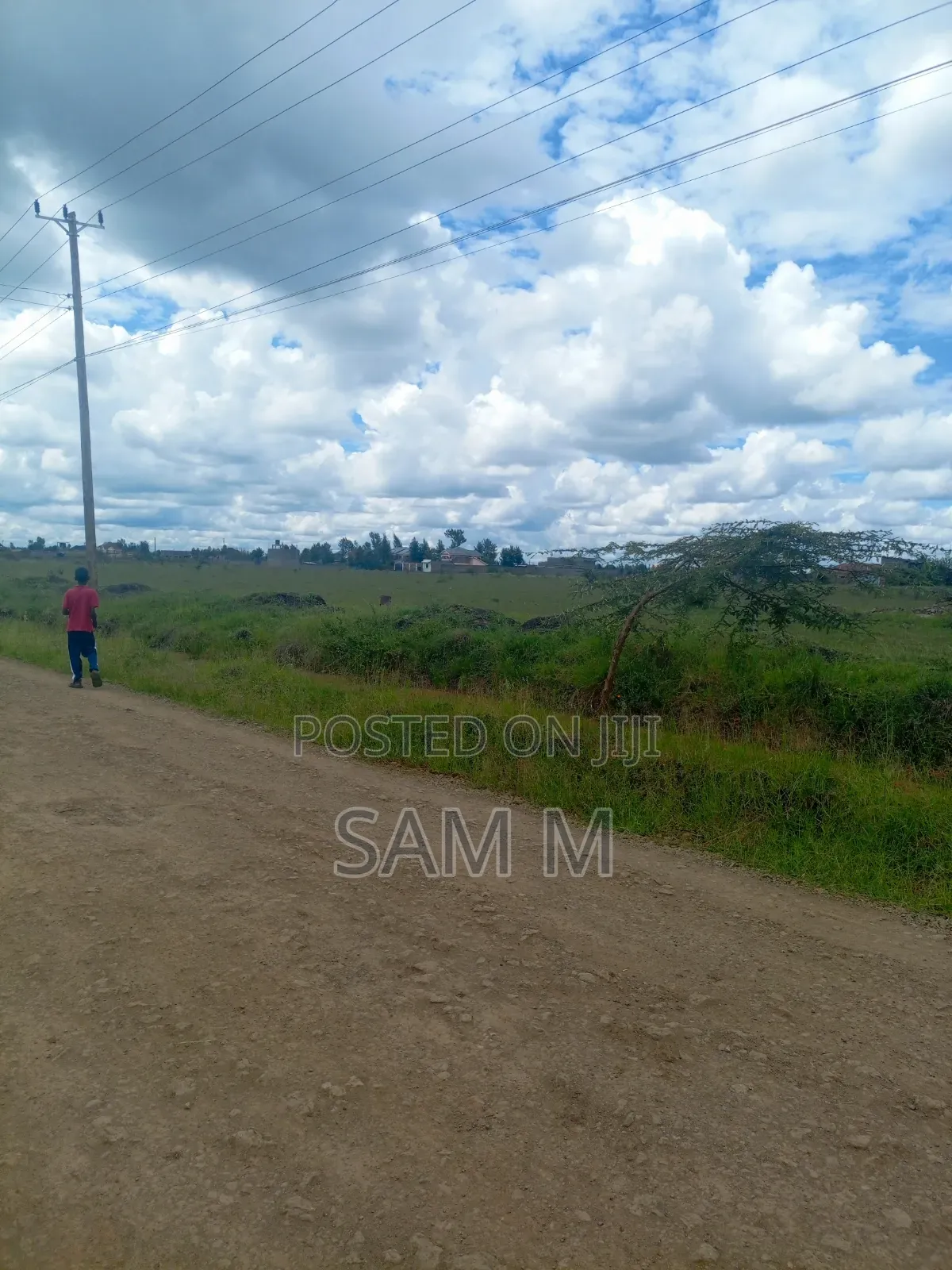 Landless 80x120(Quarter) Plot