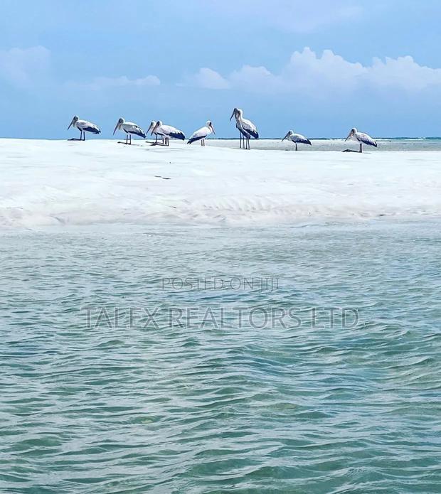Funzi Island: Own the Last Secret of the Kenyan Coast – Elite Buy Land