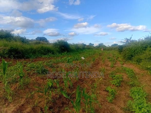 Land for Sale - thumbnail 2