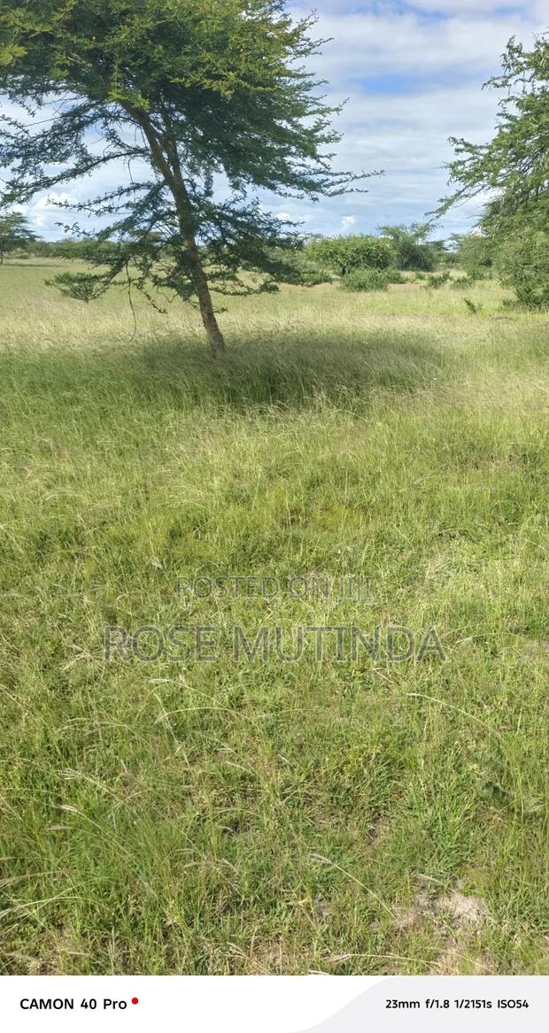 Land for Sale - thumbnail 2