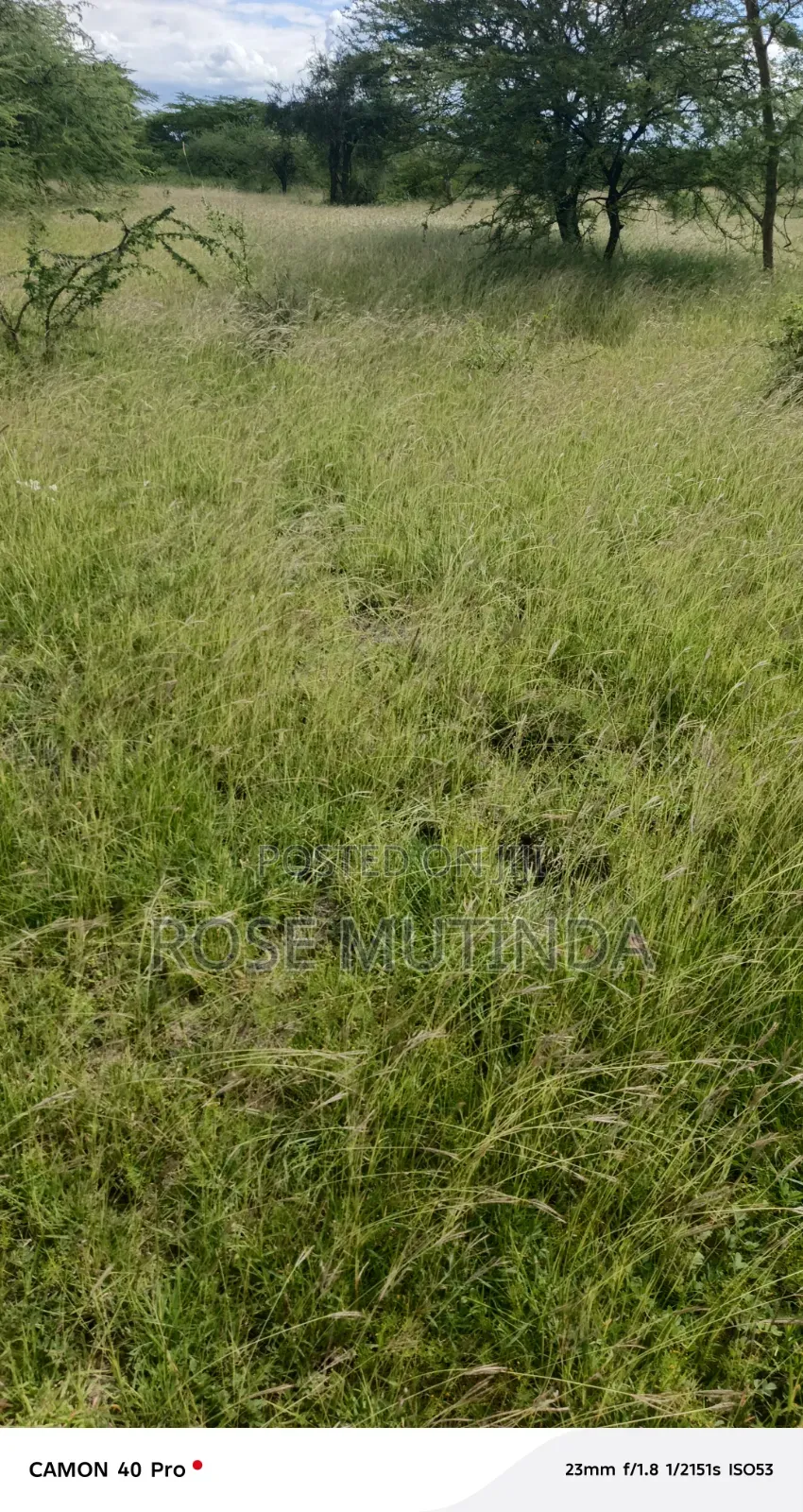 3acres at Nguluni