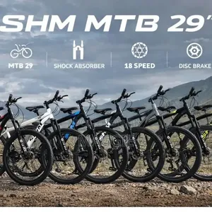 SHM MTB 29" Bicycle