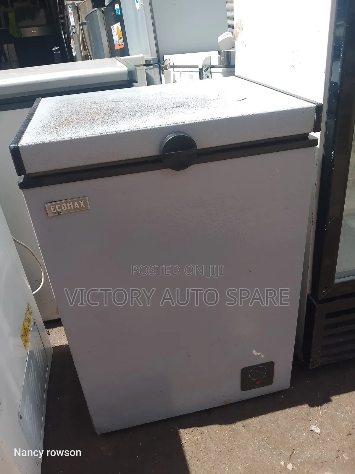 Ecomax 100 Deep Freezer