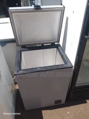 Ecomax 100 Deep Freezer