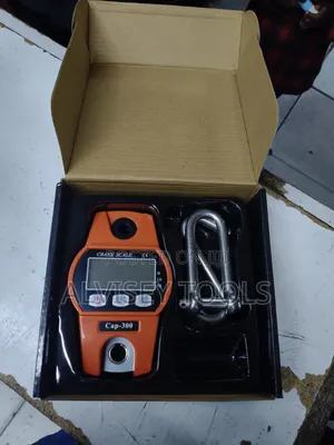 Mini Crane 300kg