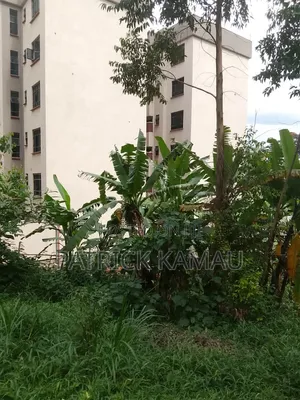 50x200 Ruaka/Muchatha