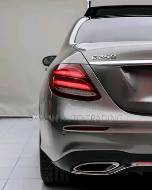 Mercedes-Benz E250 2019 Gray