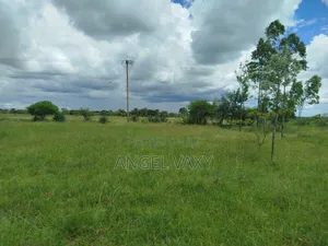 Plot for Sale 40 by 80 in Juja Farm