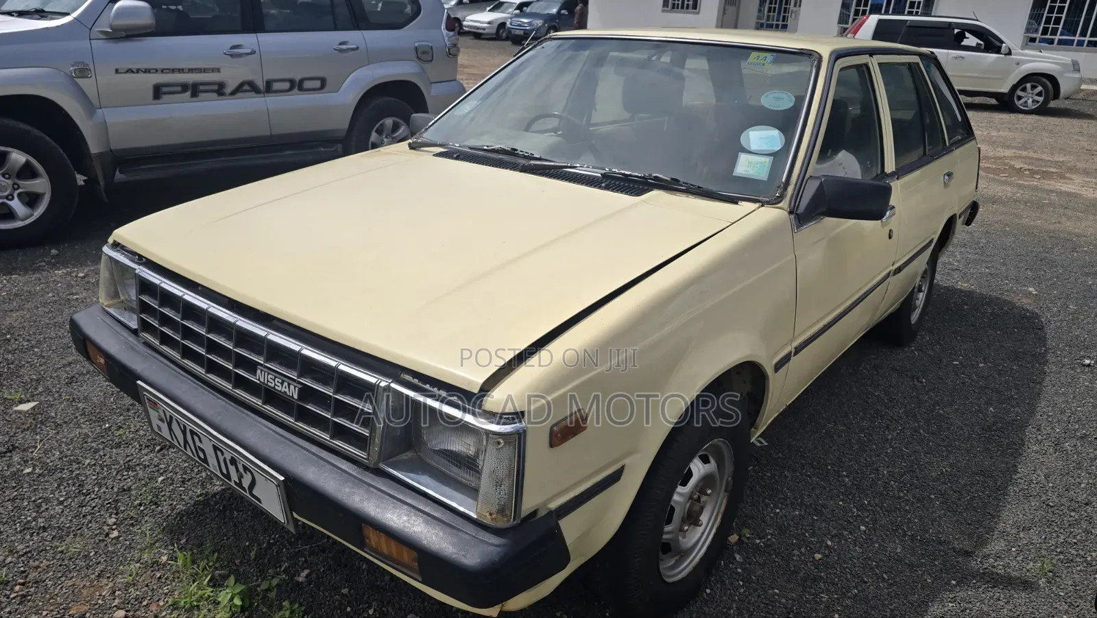Nissan Sunny 1976 Pearl