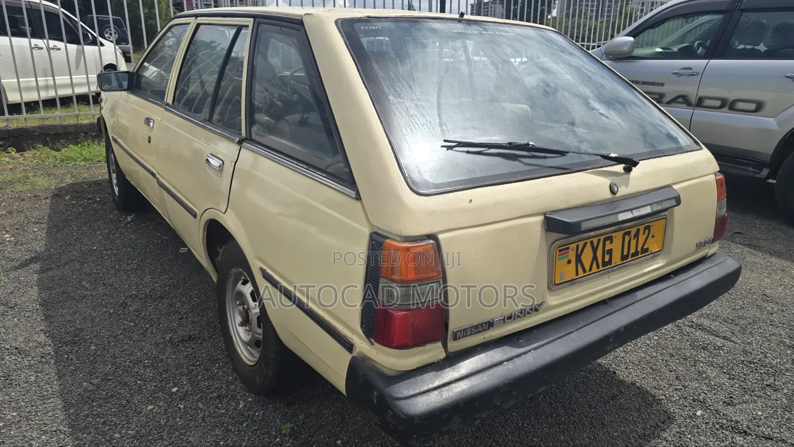 Nissan Sunny 1976 Pearl