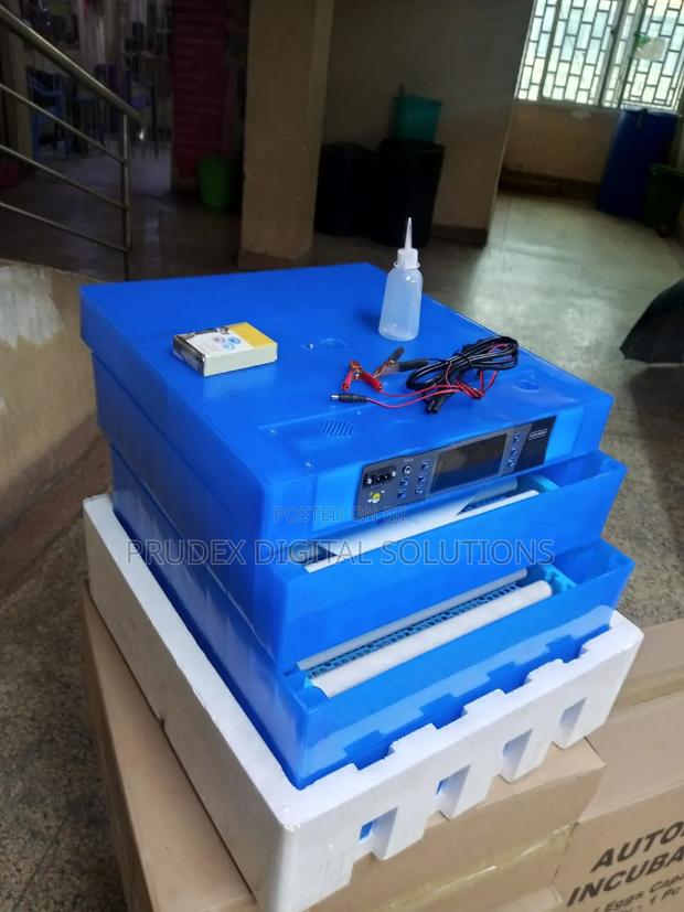 192 Eggs Incubator