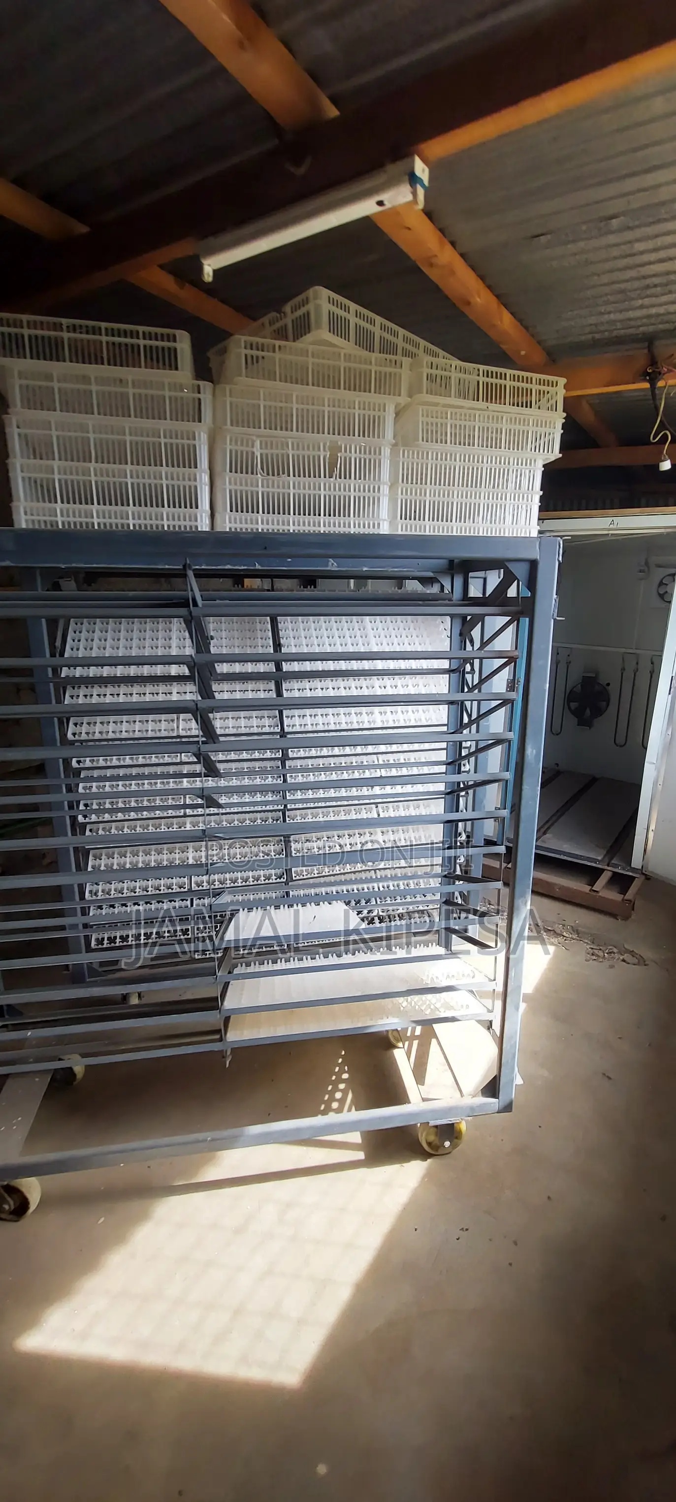 Incubation Services/Automatic Incubator 9000eggs