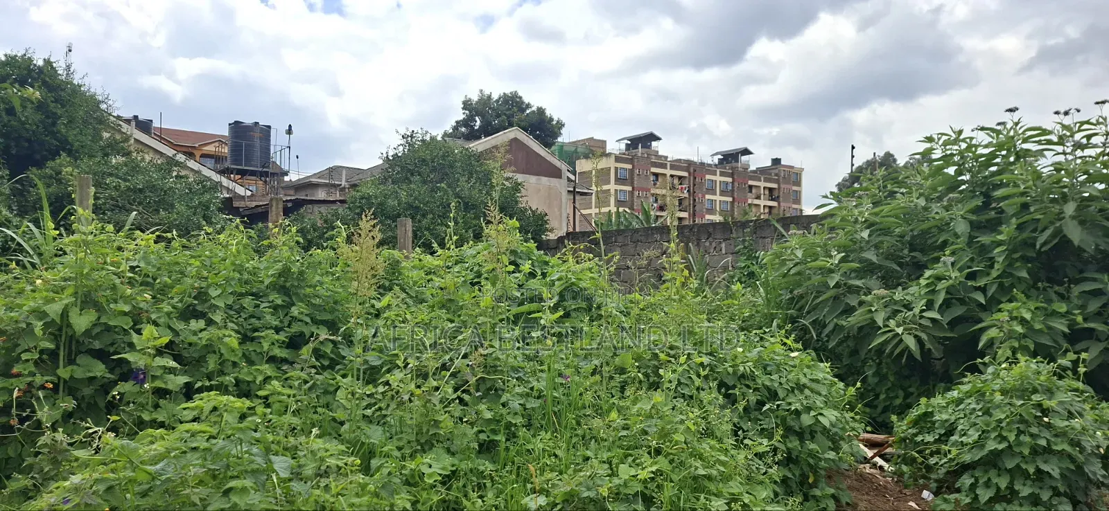 100x100 Available Plot in Kikuyu Kidfarmaco Estate