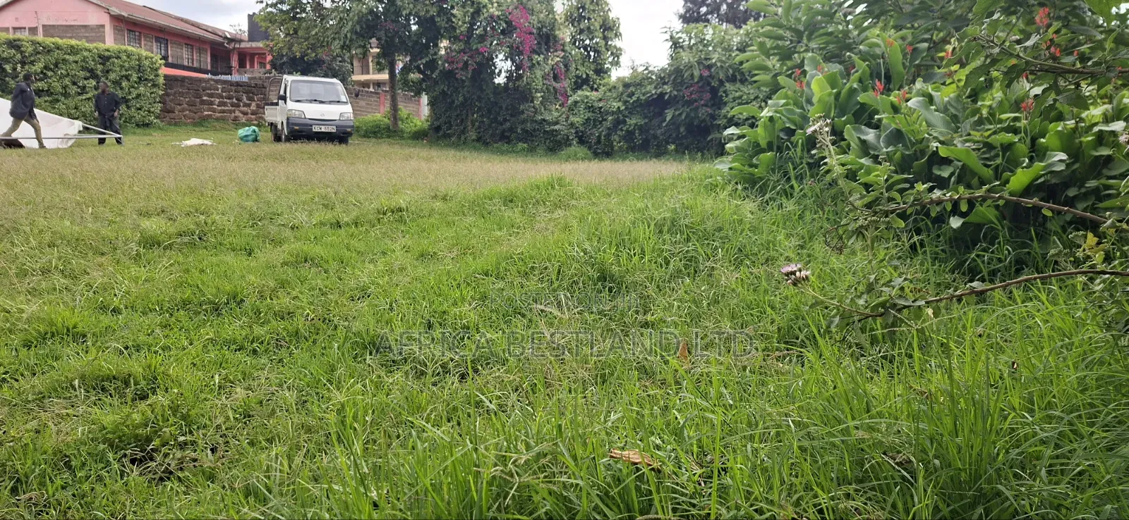 100x100 Available Plot in Kikuyu Kidfarmaco Estate
