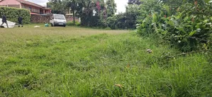 100x100 Available Plot in Kikuyu Kidfarmaco Estate