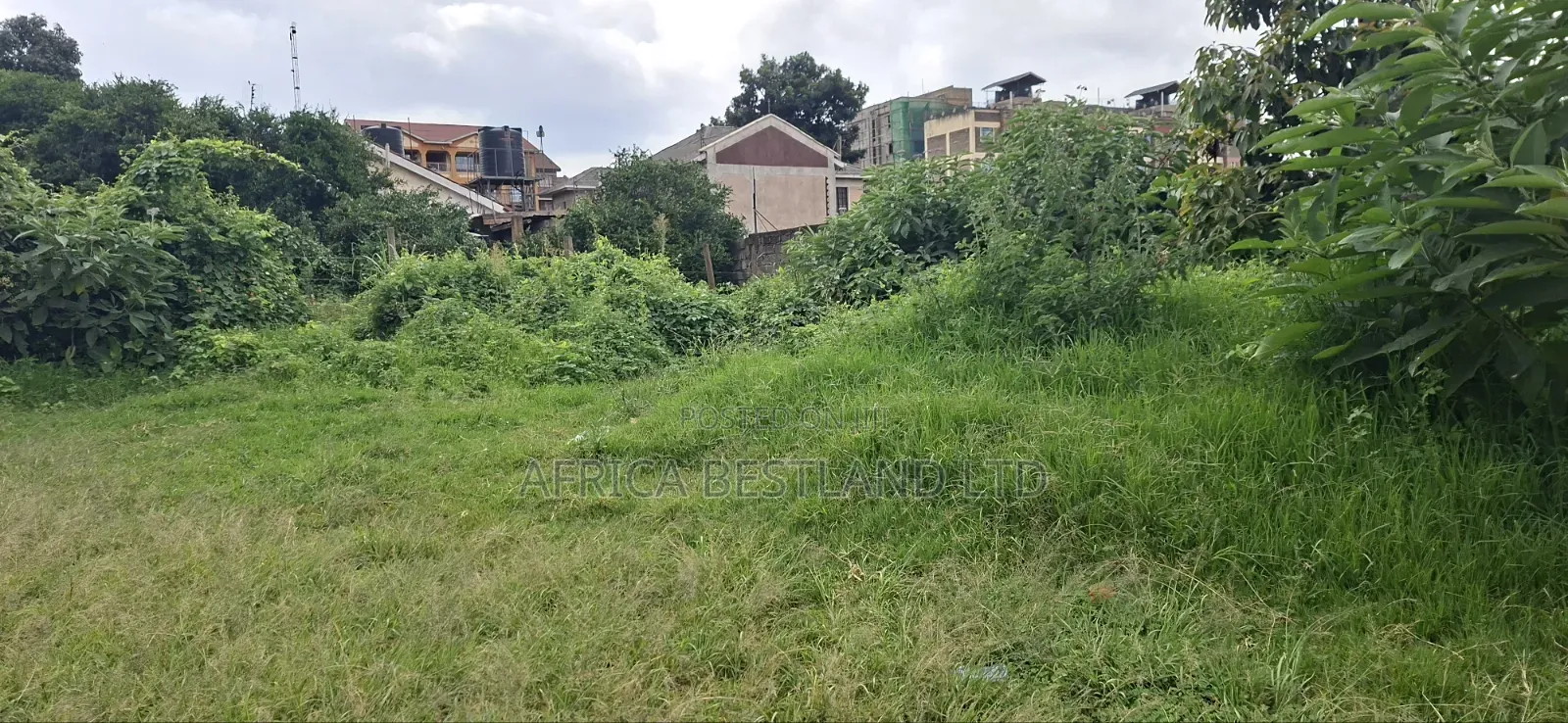 100x100 Available Plot in Kikuyu Kidfarmaco Estate