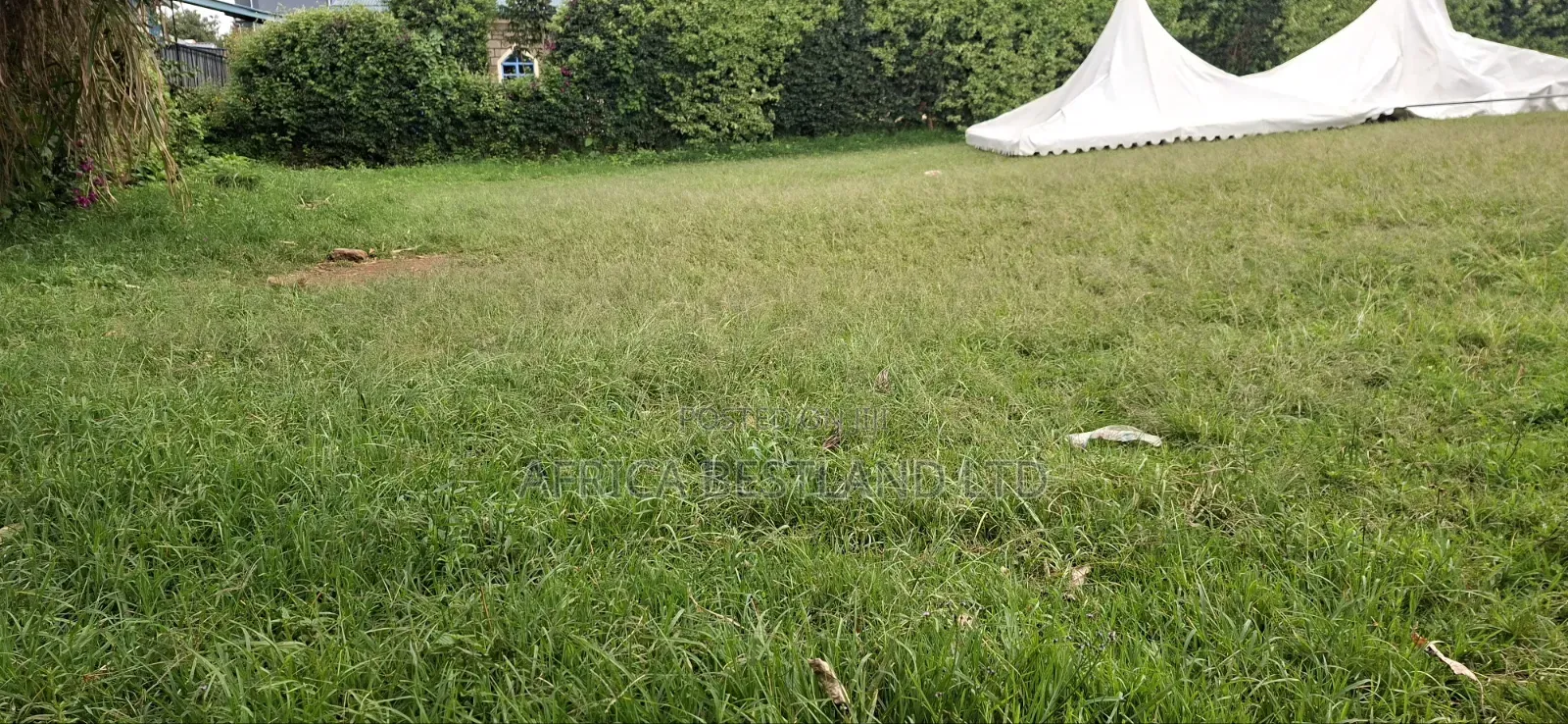 100x100 Available Plot in Kikuyu Kidfarmaco Estate