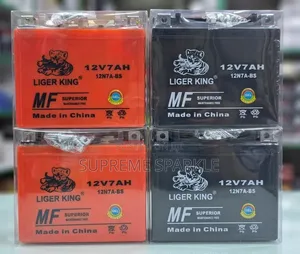 Liger King 12v 7ah 12n7a-Bs Battery