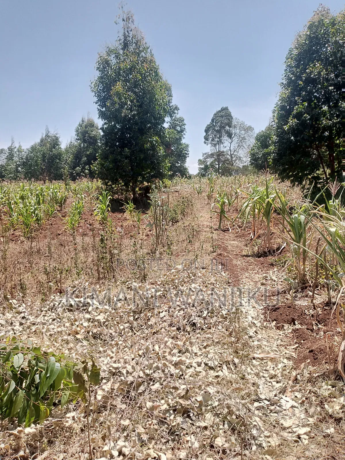 Prime Land For Sale
