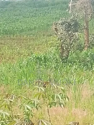 Plots and Land for Sale