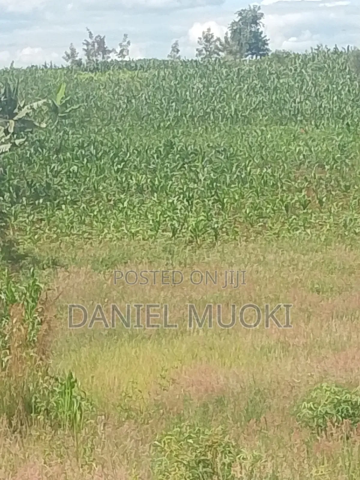 Plots and Land for Sale