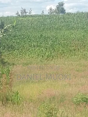 Plots and Land for Sale