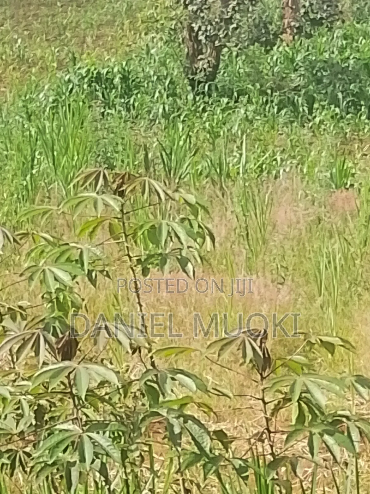 Plots and Land for Sale