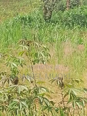 Plots and Land for Sale