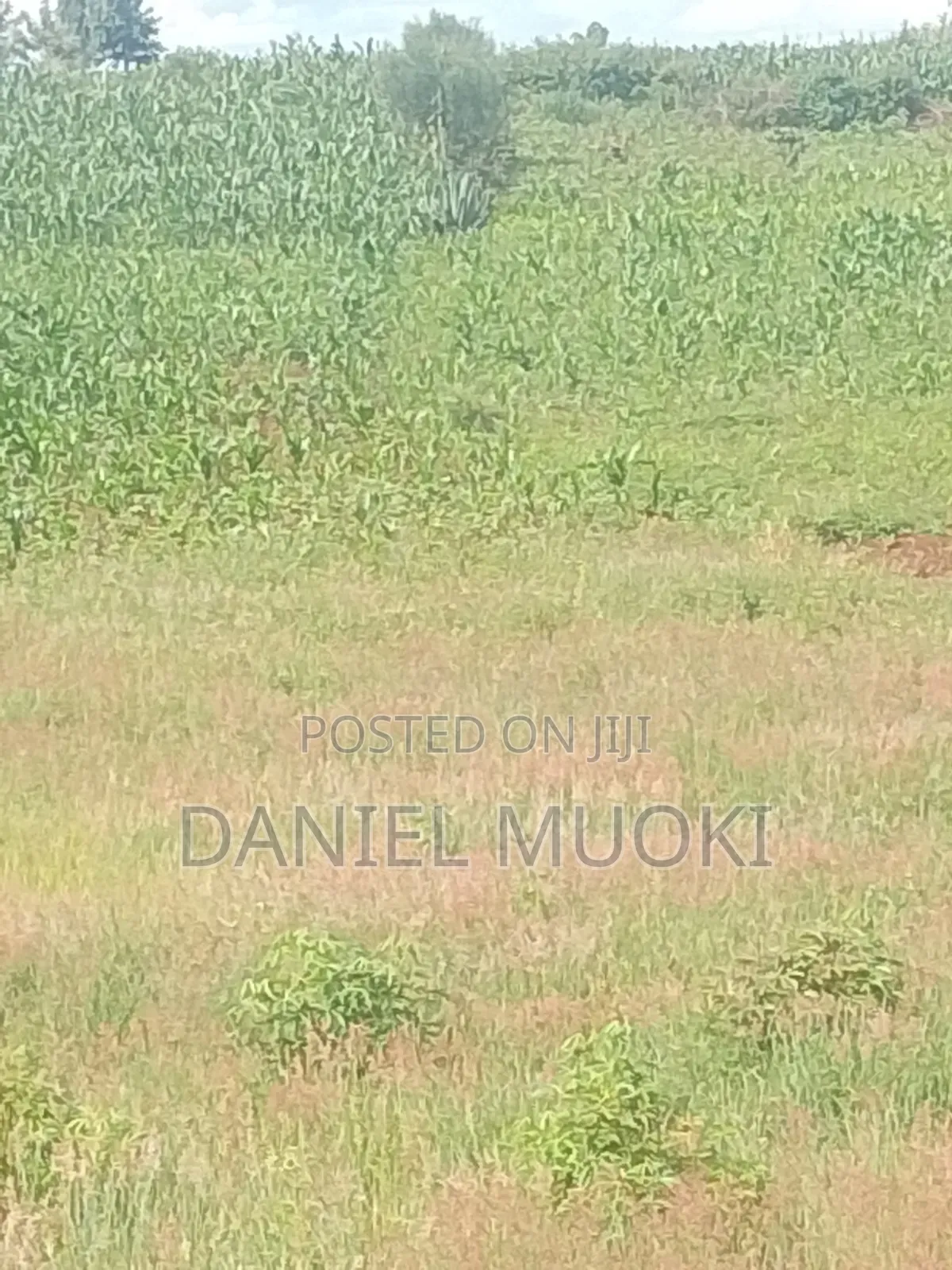 Plots and Land for Sale
