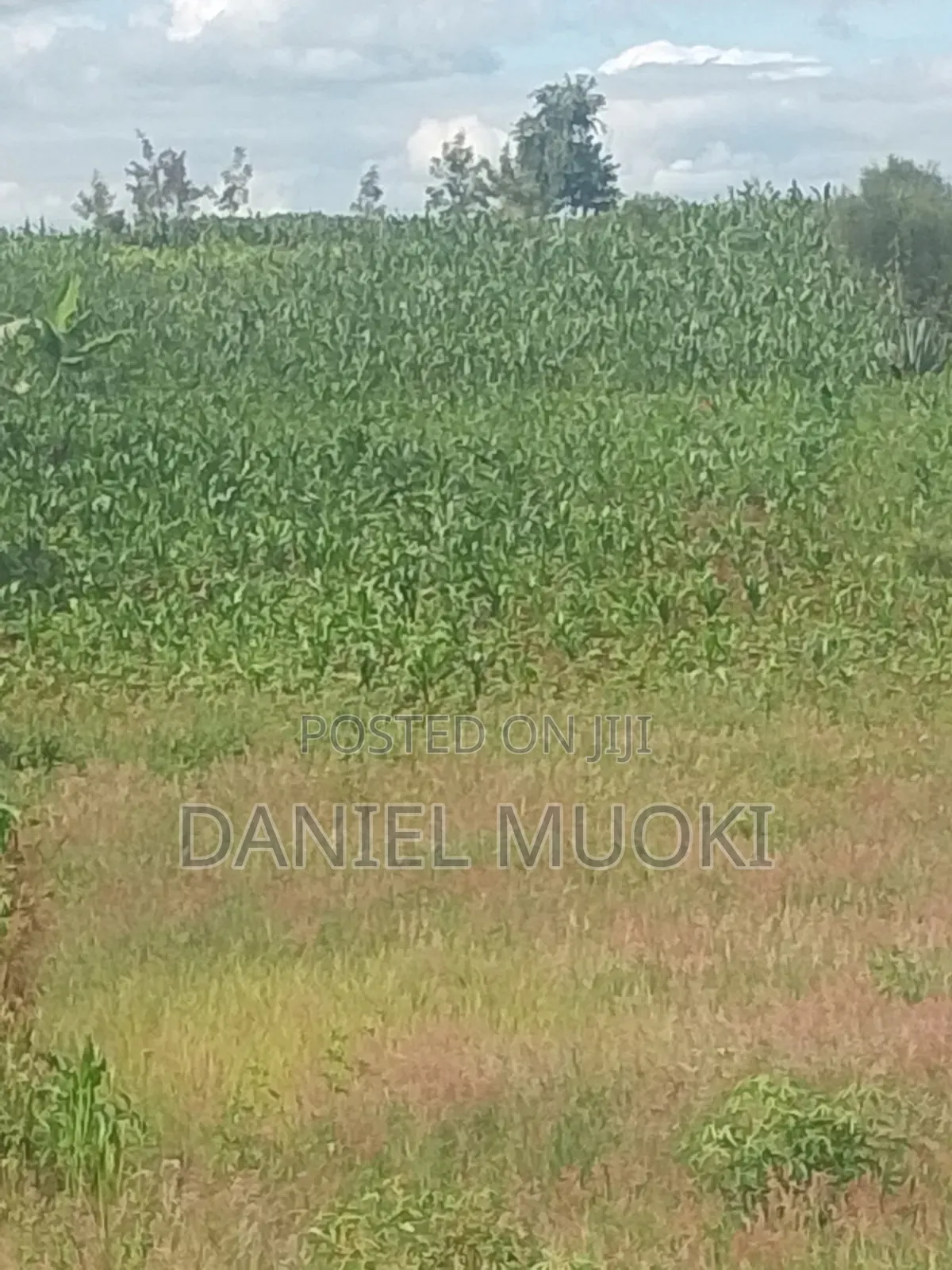 Plots and Land for Sale