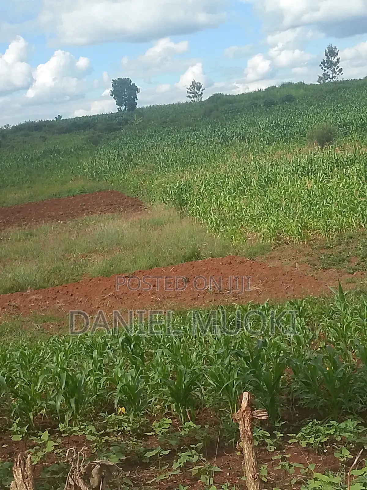Plots and Land for Sale