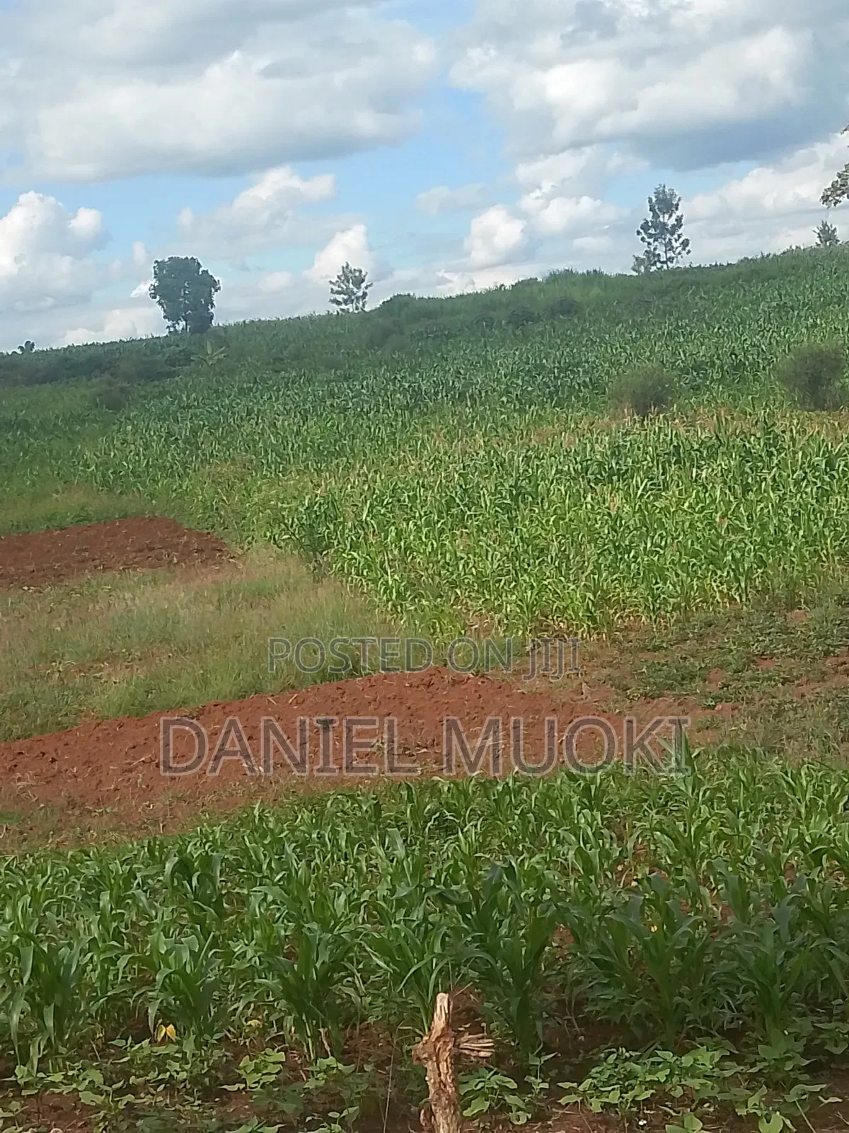 Plots and Land for Sale