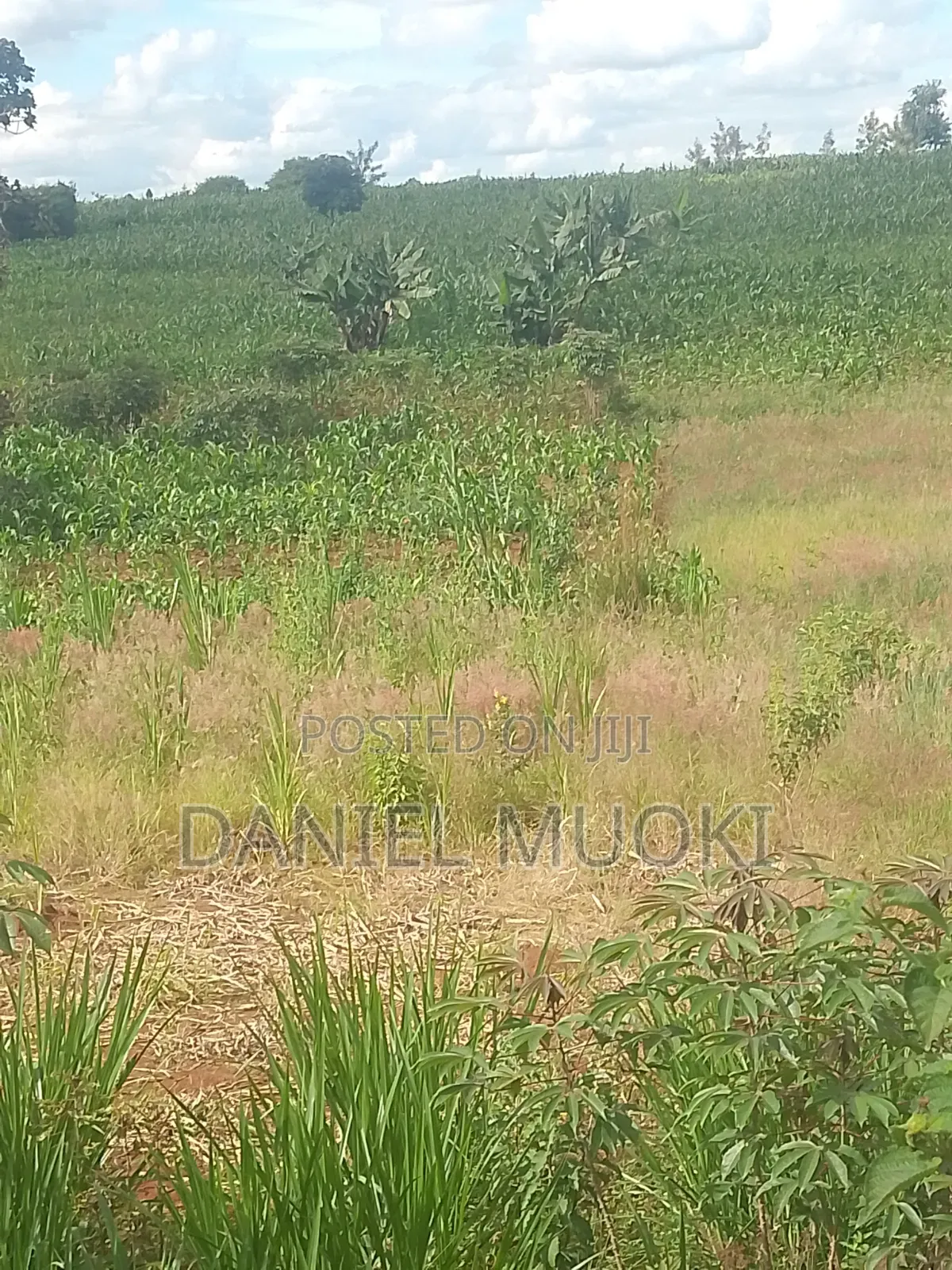 Plots and Land for Sale