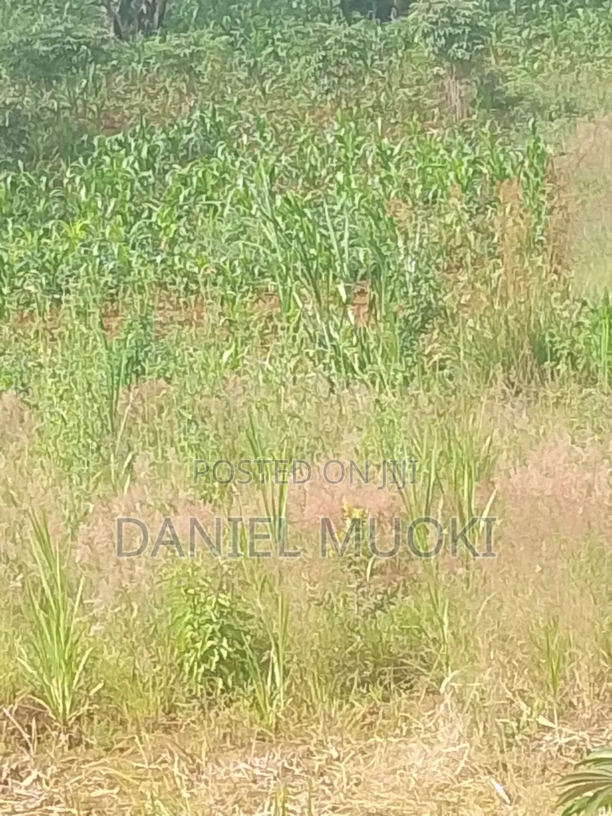 Plots and Land for Sale