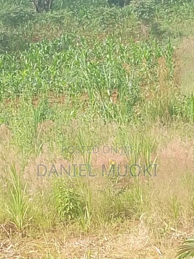 Plots and Land for Sale - thumbnail 11
