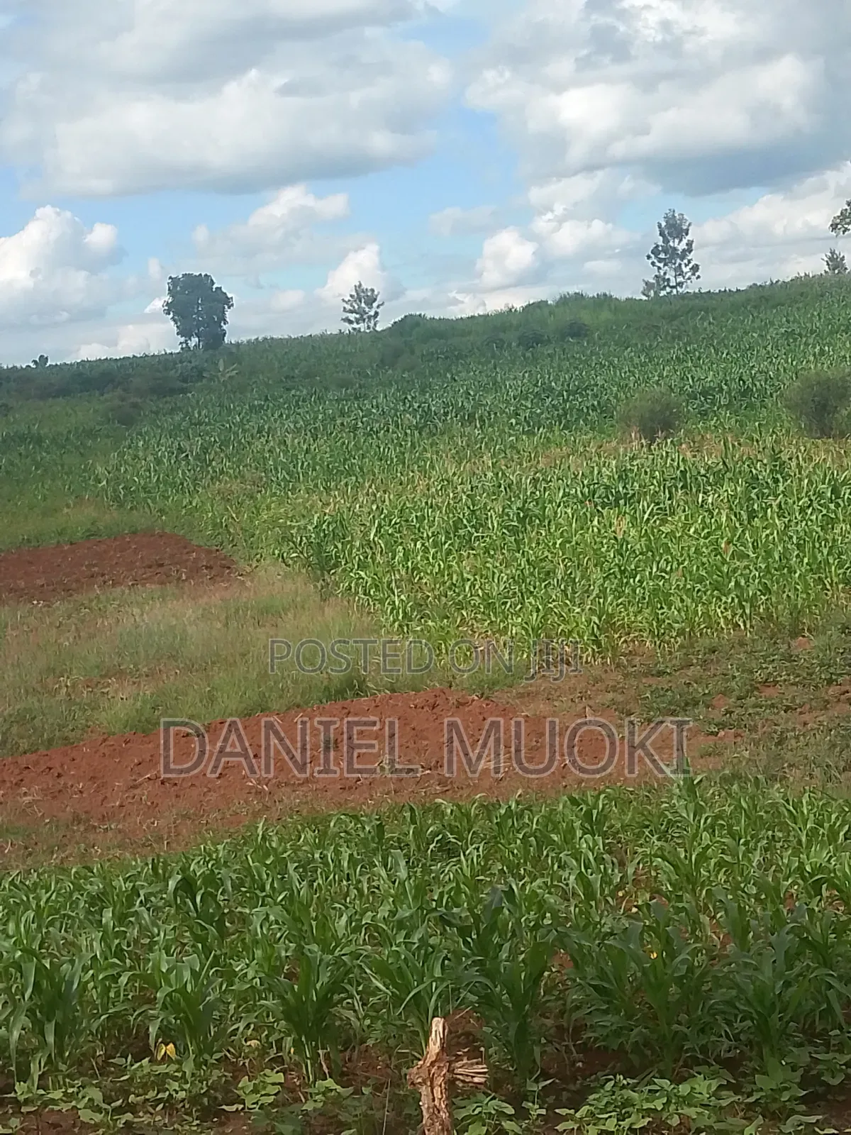 Plots and Land for Sale