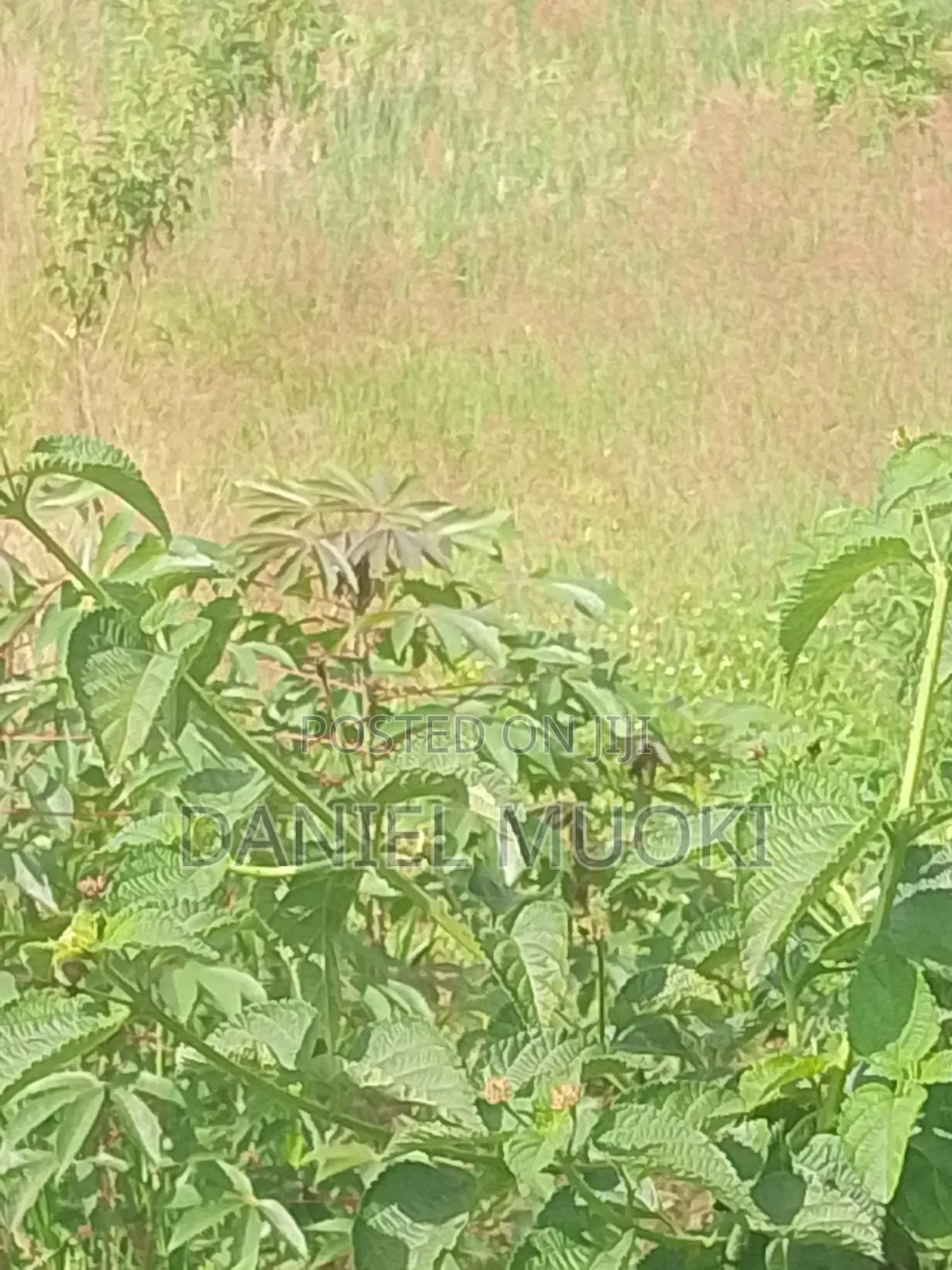 Plots and Land for Sale