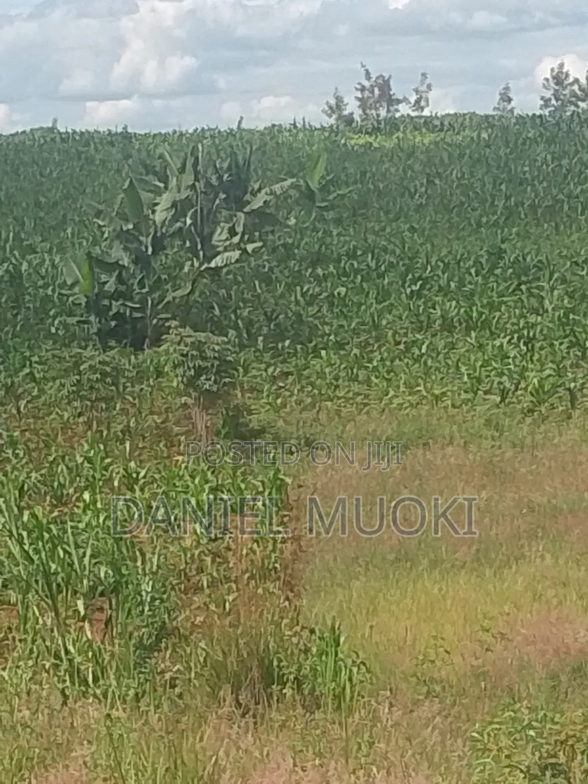 Plots and Land for Sale