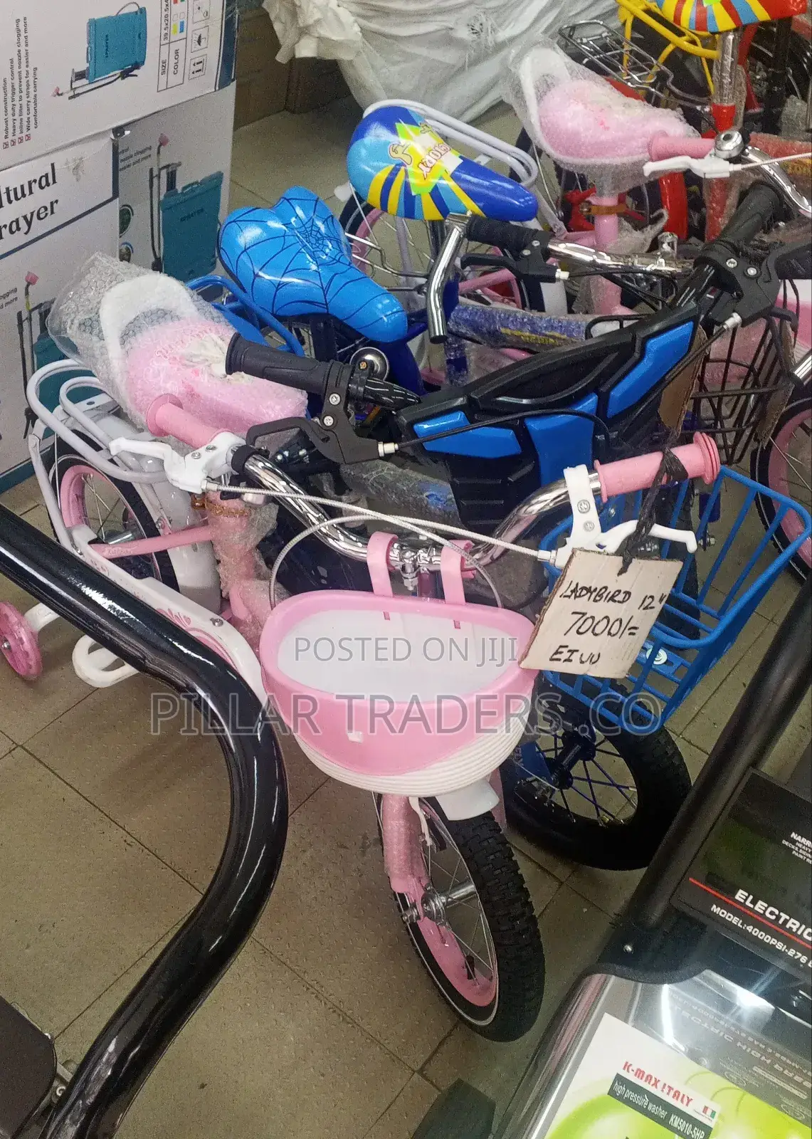 Ladybird Size 20 Bike